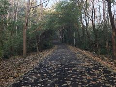 -春兰国宾馆(凤城河风景区老街店)