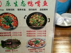 -鸭嘴鱼