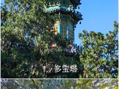 -颐和园