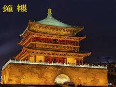 -魏家凉皮(博水商务大厦店)