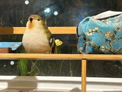 -默迹咖啡馆