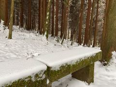 -武陵山森林公园