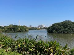 -海珠湖公园