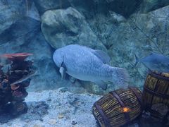 -渔火·特色餐厅(佘山世茂洲际酒店)