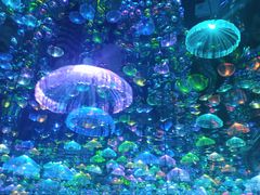 -天津梵高星空艺术馆(天河城旗舰店)