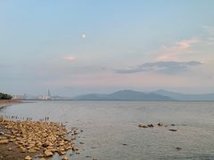 -深圳湾公园(南山区)