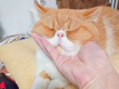 -苏州海洋馆