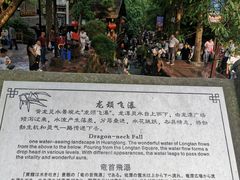 -黄龙溪古镇