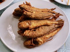 -华春餐馆(鱼山路店)