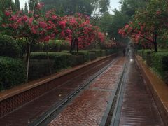 iphone_upload_pic-铁路文化公园