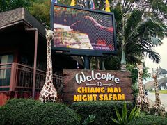 -清迈夜间动物园