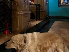 -火车头法国西餐厅