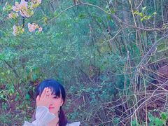 -舒家湾天主教堂