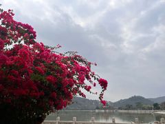 -顺峰山公园