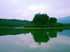 -田野绿世界