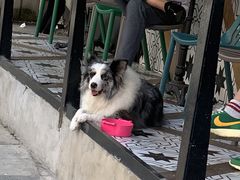 -RAC BAR(安福路店)