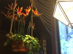 -云海肴·汽锅鸡·云南菜(天津国金汇店)