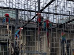 -石家庄市动物园