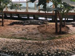 -辛玛王国游乐园