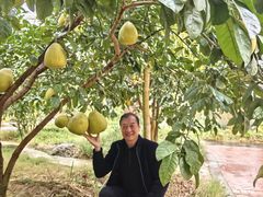 -大鸭梨烤鸭(房山店)