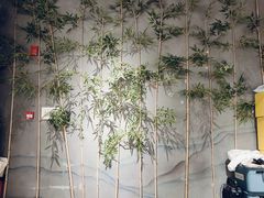 -庆春朴门(前滩太古里店)