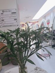 -吉艺心专业美发造型