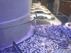 -爱尚客韩式烤肉自助餐厅(海口京华城店)