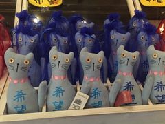 -猫咪博物馆(顶澳仔猫街店)