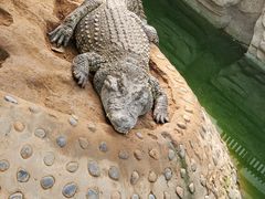 -石家庄市动物园