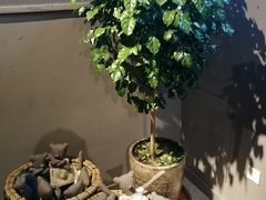 -维苏唯披萨(青云街店)