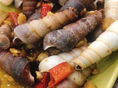 和味炒丁螺-贞姨美食·老字号海鲜大排档