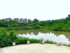 -大亚湾红树林城市湿地公园