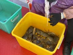 -蟹天蟹地农家菜·阳澄湖大闸蟹(浅水湾店)