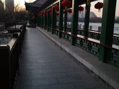 -莲花池公园