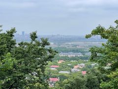 -上海佘山国家森林公园西佘山园