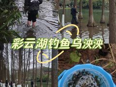 -重庆彩云湖湿地公园