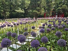 -沈阳植物园
