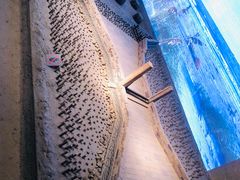 -元代水闸遗址博物馆