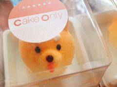 -柴犬高等学院·狗咖·柴犬售卖·宠物训练