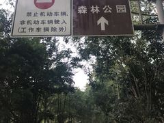 -火炉山森林公园