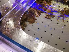 -澜悦港海鲜体验主题餐厅