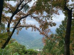 -广州市石门国家森林公园