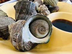 -魚當家