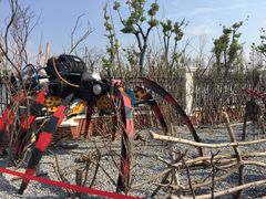 -上海长兴岛郊野公园