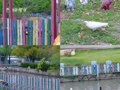 -上海佘山世茂艾美酒店