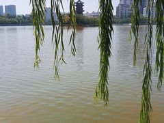 -迎泽公园