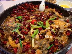 -老板恋上鱼(高新万达店)