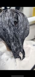 -HaLo hair studio