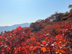 -周口店坡峰岭风景区