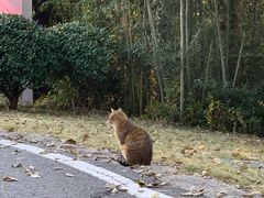 -南京市江宁方山